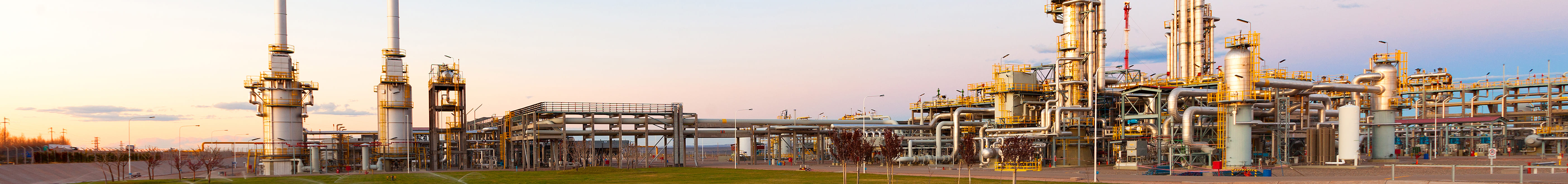 Description of the image